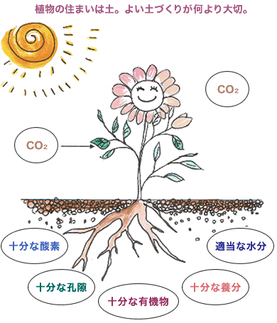 �A���̏Z�܂��͓y�B�悢�y�Â��肪������؁B