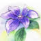 �G�߂̐A������