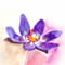 �G�߂̐A������