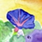 �G�߂̐A������