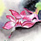 �G�߂̐A������