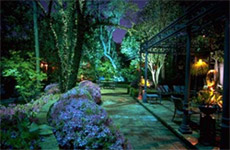 ���냉�C�g�A�b�v�摜