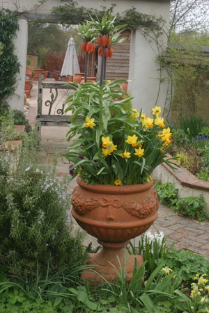 �p���@Whichford Pottery�ɂāB�R���e�i����炢���t���`�����A