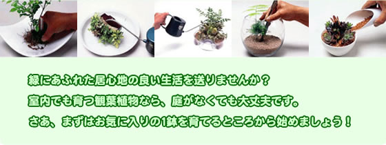 �΂ɂ��ӂꂽ���S�n�̗ǂ������𑗂�܂��񂩁H�����ł���ϗt�A���Ȃ�A�낪�Ȃ��Ă����v�ł��B�����A�܂��͂��C�ɓ���̂P������Ă�Ƃ��납��n�߂܂��傤�I