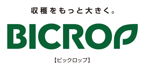 ＢＩＣＲＯＰ（ビックロップ）