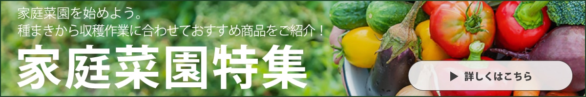 家庭菜園特集