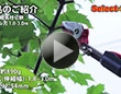軽量伸縮高枝切鋏アンビル刃1.8－3.0ｍ