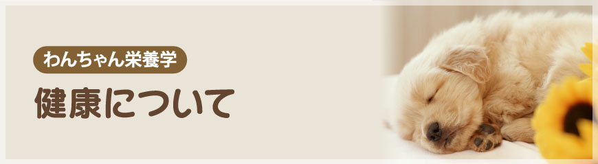 ���N�ɂ���