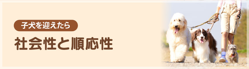 �Љ�Ə�����