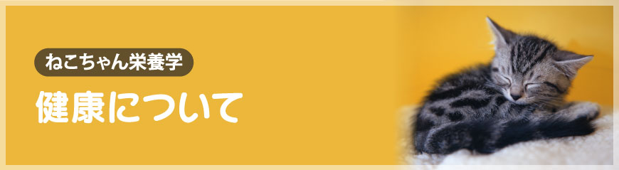 ���N�ɂ���