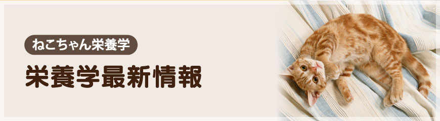 �h�{�w�ŐV���