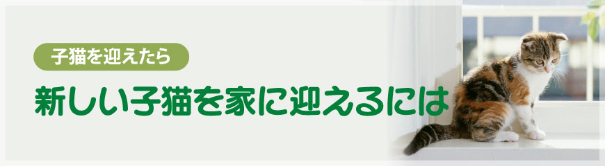 �V�����q�L���ƂɌ}����ɂ�