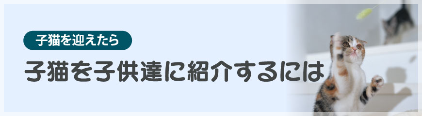 �q�L���q���B�ɏЉ��ɂ�