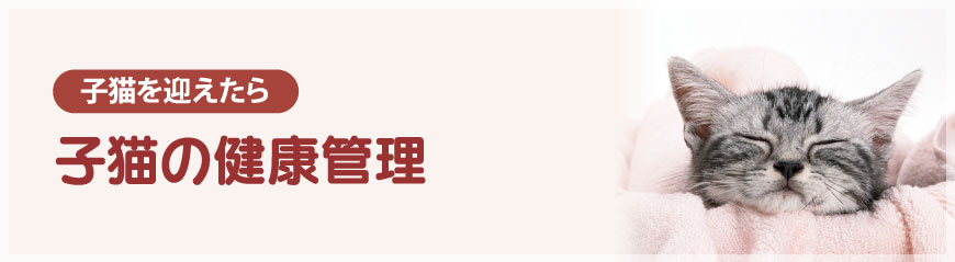 �q�L�̌��N�Ǘ�