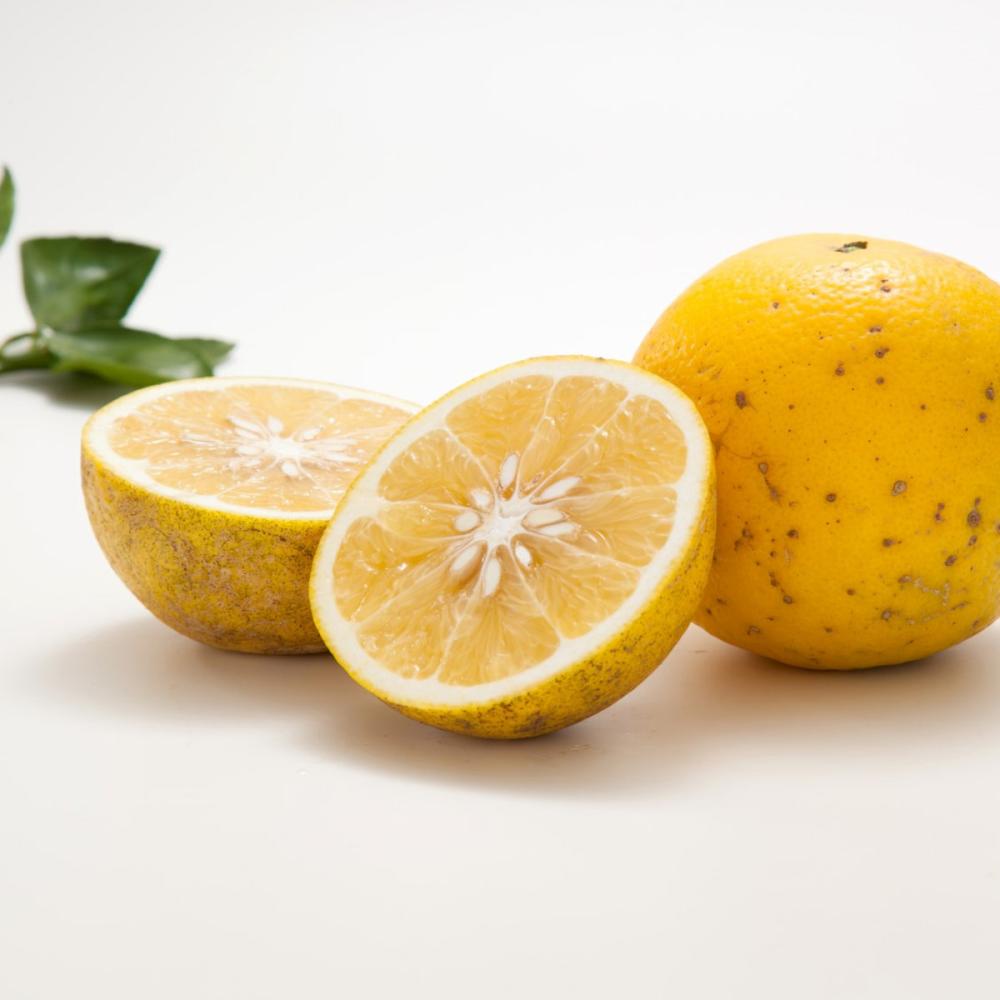 熊本県産　グレープフルーツ　良品家庭用　サイズ混合　約５ｋｇ