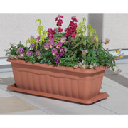 鉢・プランター