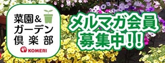 菜園＆ガーデン倶楽部